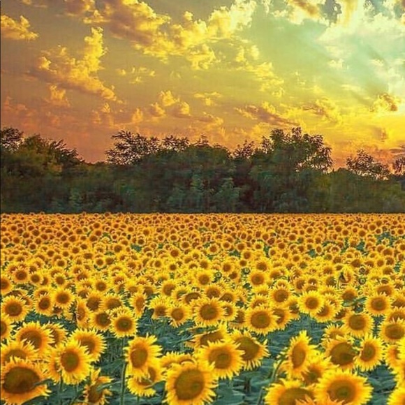 Meet your Posher, Adriane - Picture 1 of 1